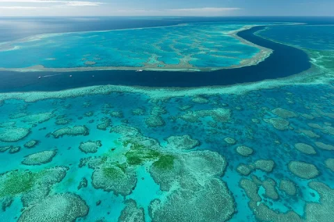 Heart Reef & Whitehaven Rest and Relax ~2.5Hr Helicopter Tour in Airlie Beach & Cannonvale