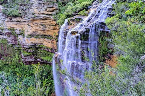 Blue Mountains Wilderness Wonder in Sydney