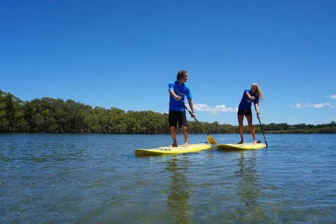 Stand Up Paddle Board Tour in Byron Bay in Byron Bay