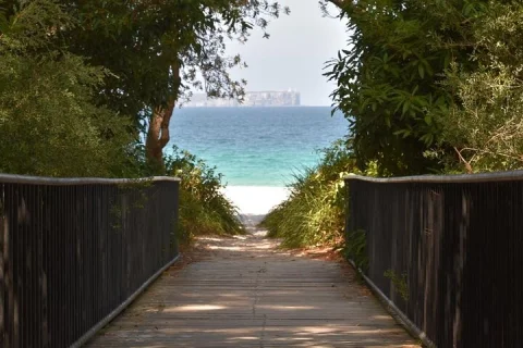 Jervis Bay Tour with Dolphins, Kangaroos & World's Whitest Beach in Haymarket
