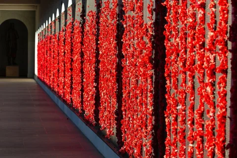 Highlights of Canberra Full Day Tour in Australian Capital Territory