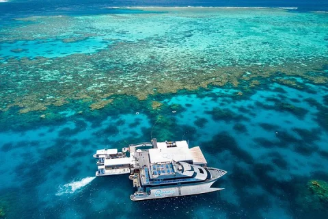 Quicksilver Outer Great Barrier Reef Snorkel Cruise from Palm Cove in Cairns