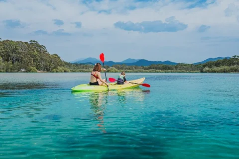 Sunset Kayak Eco Tour with Marine Scientist in Coffs Harbour