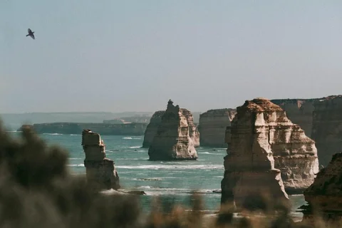 Half Day or Full Day Tour with Private Guide from Melbourne in Melbourne