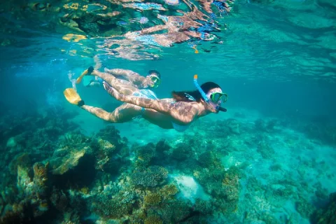 6 Day Coral Coaster from Perth to Exmouth One Way via Monkey Mia Ningaloo Reef in Perth