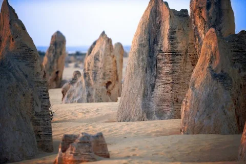 Pinnacles Desert, Yanchep, and Swan Valley with Lunch from Perth in Perth