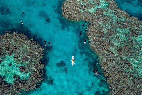 Full Day Great Barrier Reef Snorkeling from Hamilton Island in Airlie Beach & Cannonvale