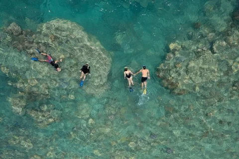 Lady Enid Sailing and Snorkeling Day Trip including Whitehaven Beach in Airlie Beach & Cannonvale