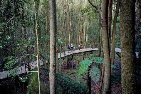 Blue Mountains Adventure w Scenic World, Zoo, Koala Photo & Ferry in Sydney