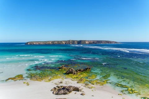 Coffin Bay Tour with Oyster Shucking and Off Road Adventure in Port Lincoln