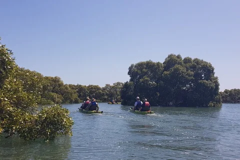 Guided Kayak Adventure Tour 3hrs options please check the website in Brisbane
