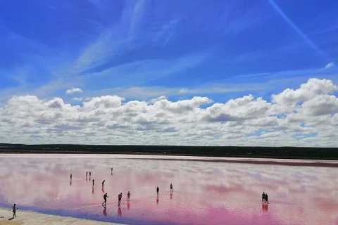 4 Days Tour to Pink Lake Kalbarri, Margaret River and South West in Perth