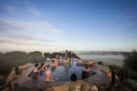 Full day Peninsula Hot Springs & Bathing Boxes in Melbourne