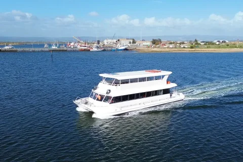2 Hour Dolphin and Maritime Cruise in Port Adelaide in Port Adelaide