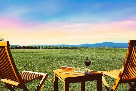 Melbourne: Epic Yarra Valley Wine Tour & Lunch Gin/Beer Upgrade in Melbourne