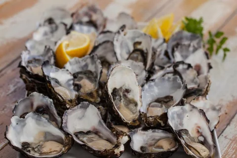 Bruny Island Traveller Gourmet Tasting and Sightseeing Day Trip from Hobart in Hobart