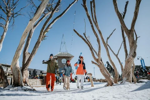Mount Buller Day Tour from Melbourne in Melbourne