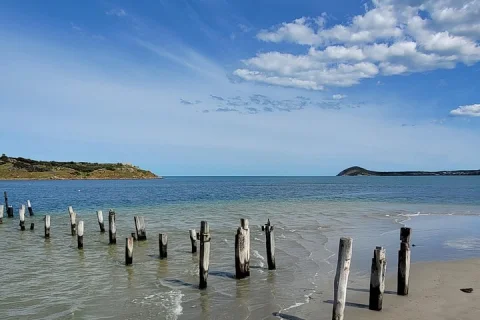 Discover Victor Harbor Walking Tour in Victor Harbor & Goolwa