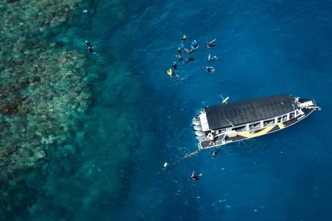 Cairns Half Day Tour a Great Barrier Reef Snorkeling Experience in Cairns