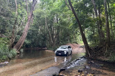 Cairns Rainforest & Waterfalls 4WD Half Day Tour in Cairns
