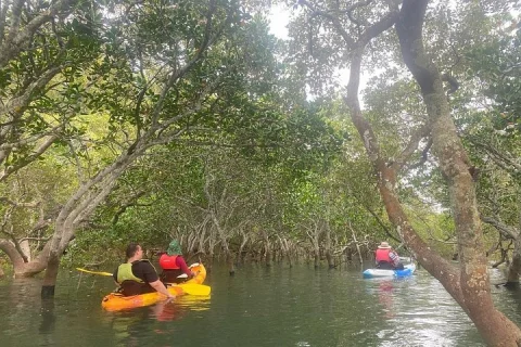 Raby Bay Wildlife Kayak Tour in Cleveland