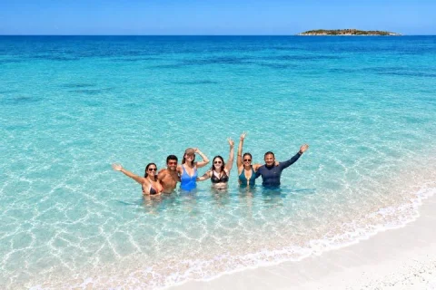 Sydney: Jervis Bay Day Trip with Wild Kangaroos & Beach in Haymarket