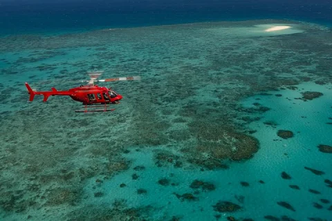 Great Barrier Reef or Rainforest Scenic Flights from Port Douglas in Port Douglas