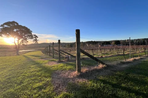 Private Southern Highlands Wine Tasting Experience in Sydney