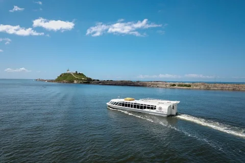 Newcastle Harbour Luncheon Cruise in Newcastle & Maitland