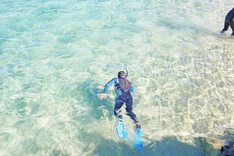 Wave Break Island Snorkel Tour on the Gold Coast in Gold Coast