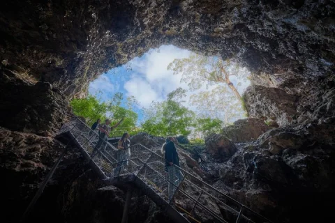 Perth: Sinkhole Cave, Margaret River & Busselton, Stargazing Tour in Perth