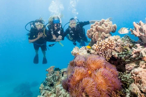 7 Day Brisbane to Cairns Boutique Whitsundays Great Barrier Reef in Brisbane
