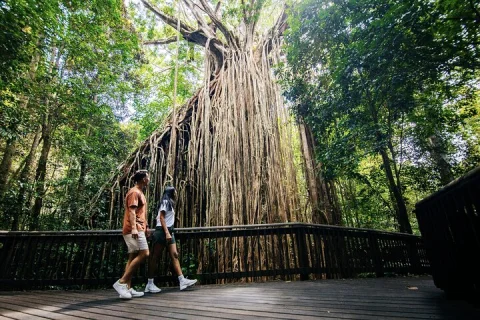 9 Day Brisbane to Daintree Whitsundays Great Barrier Reef Comfort in Brisbane