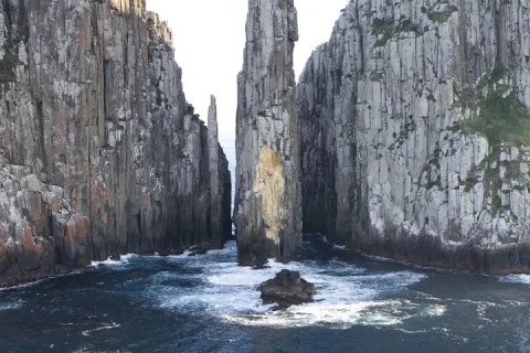 Tasman Island Cruises and Port Arthur Historic Site Day Tour from Hobart in Hobart