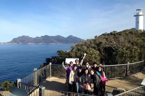 Launceston: Wineglass Bay & Freycinet Explorer Day Trip in Launceston