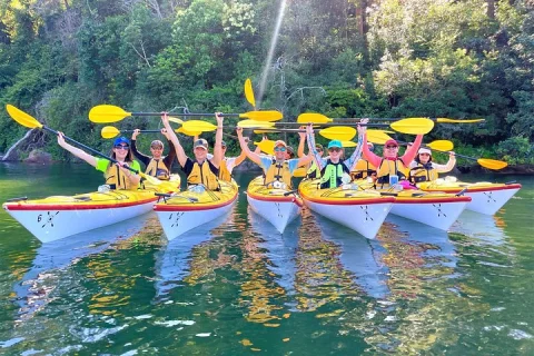 Sydney's Middle Harbour Sea Kayaking Eco Tour (Fully Guided in Sydney
