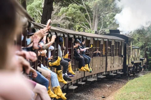 Puffing Billy Steam Train and Penguins Wildlife Tour in Melbourne