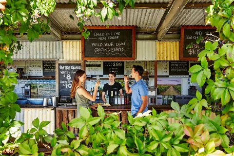 Taste of the Valley Cruise from Perth in Perth