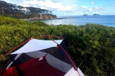 Batemans Bay Overnight Kayak Camping Tour All Inclusive in Batemans Bay