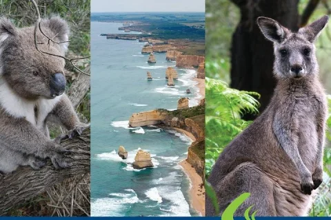 Great Ocean Road Ultimate Two Day Tour in Melbourne