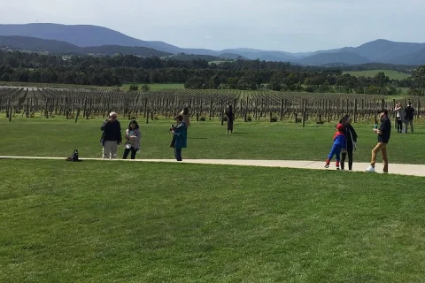 Scenic Private Yarra Valley Wine Tour in Melbourne