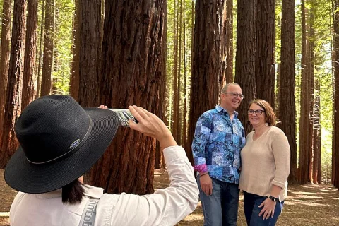 Yarra Valley Redwoods Tour with Winery Lunch or Wildlife Option in Melbourne