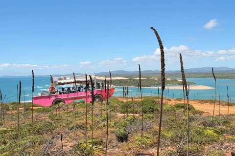 Full Day 1770 Tour by LARC Amphibious Vehicle Including Sandboarding and Bustard Head Lightstation in Seventeen Seventy
