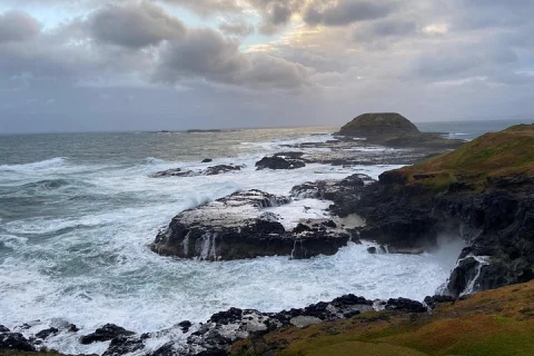 Phillip Island Tour with Italian Guide in Melbourne
