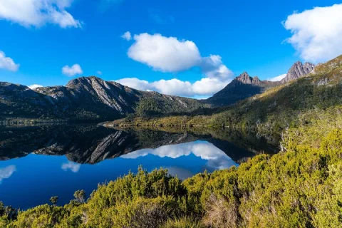 Cradle Mountain National Park Day Tour from Launceston in Launceston