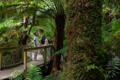 Great Ocean Road Grampians 3 Day National Park Tour Melbourne Roundtrip in Melbourne