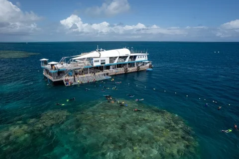 Snorkel & Dive the Reef: Sustainable, Scientific & Cultural Tour in Cairns