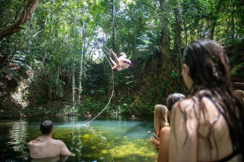 Cape Tribulation Day Tour from Cairns in Cairns