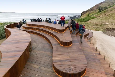 Philip Island Penguin Parade and Koala Reserve from Melbourne in Melbourne