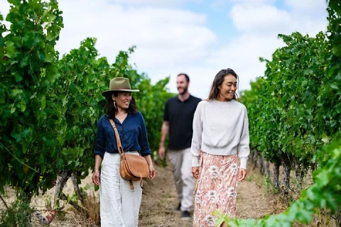 Margaret River 3 Day Escape | Small Group Tour from Perth in Perth